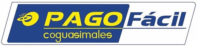 logo pago fácil