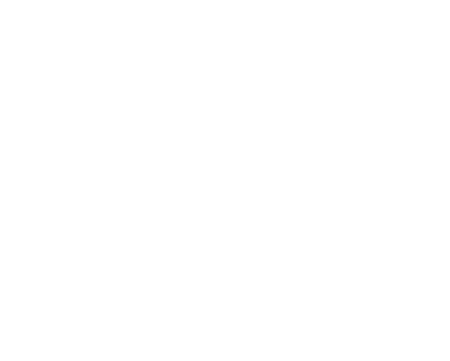 icono smart